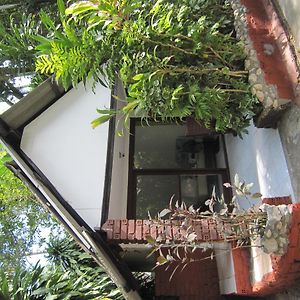 Standard Bungalow